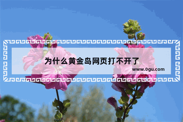 为什么黄金岛网页打不开了