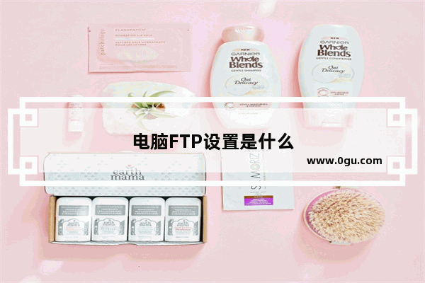 电脑FTP设置是什么