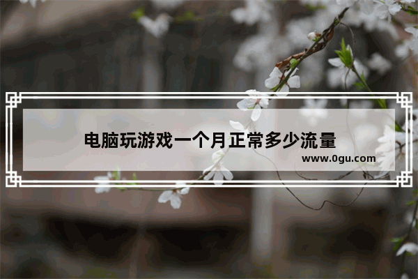 电脑玩游戏一个月正常多少流量
