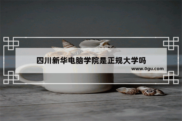四川新华电脑学院是正规大学吗
