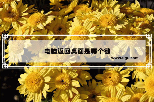 电脑返回桌面是哪个键