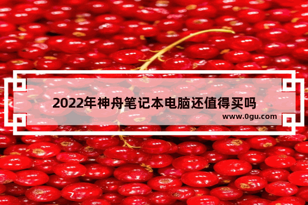 2022年神舟笔记本电脑还值得买吗