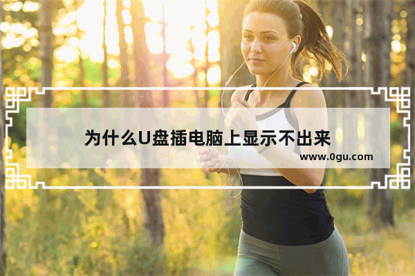 为什么U盘插电脑上显示不出来