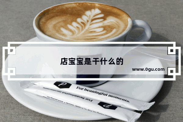 店宝宝是干什么的