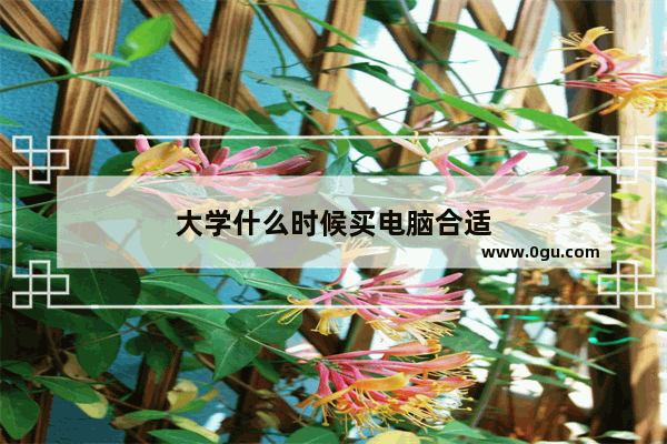 大学什么时候买电脑合适