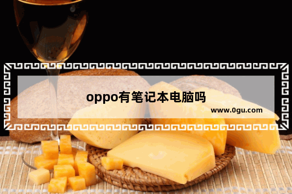 oppo有笔记本电脑吗