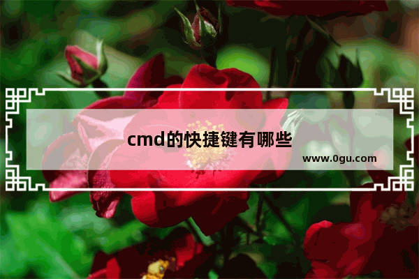 cmd的快捷键有哪些