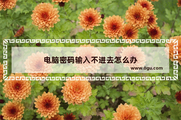电脑密码输入不进去怎么办