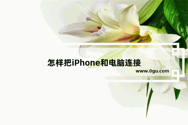 怎样把iPhone和电脑连接