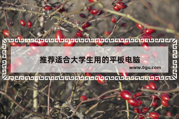 推荐适合大学生用的平板电脑