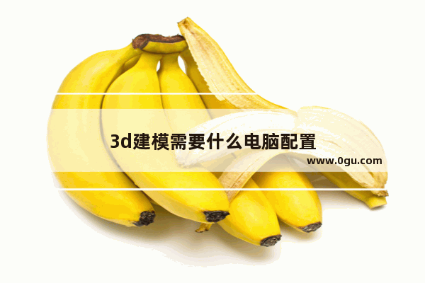 3d建模需要什么电脑配置