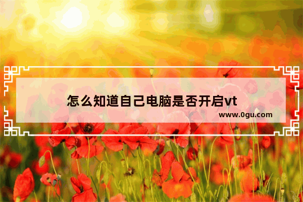 怎么知道自己电脑是否开启vt