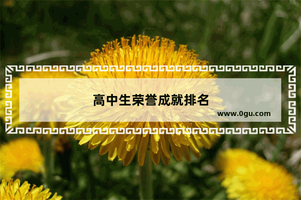 高中生荣誉成就排名
