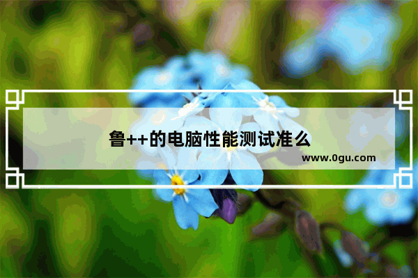 鲁++的电脑性能测试准么