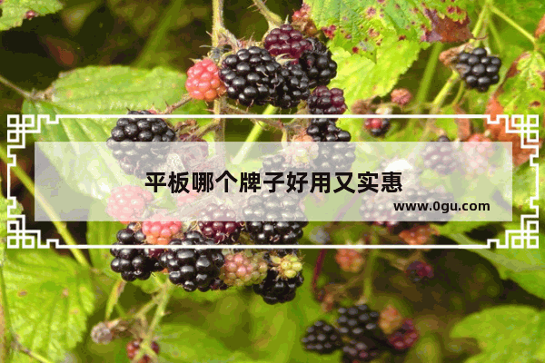 平板哪个牌子好用又实惠