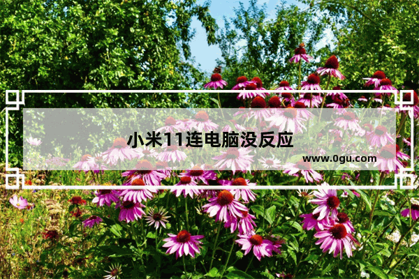 小米11连电脑没反应
