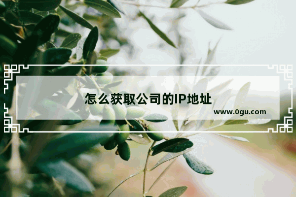 怎么获取公司的IP地址