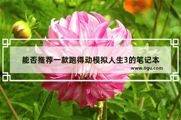 能否推荐一款跑得动模拟人生3的笔记本