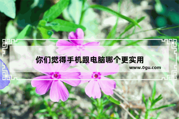 你们觉得手机跟电脑哪个更实用