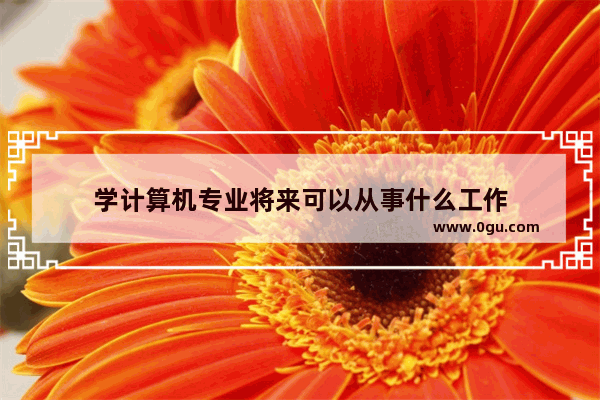 学计算机专业将来可以从事什么工作