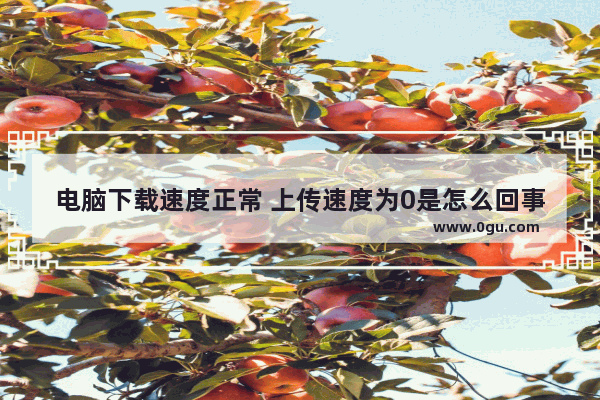 电脑下载速度正常 上传速度为0是怎么回事