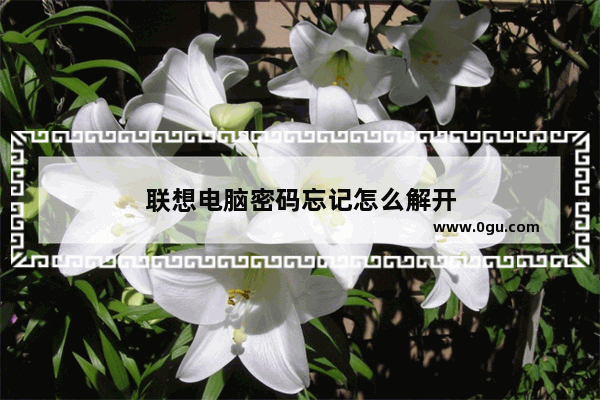 联想电脑密码忘记怎么解开