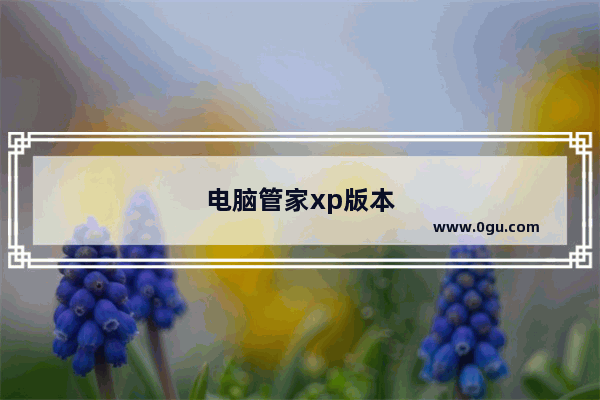 电脑管家xp版本
