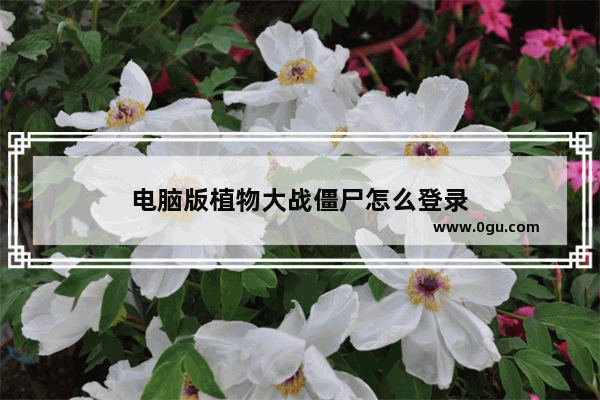 电脑版植物大战僵尸怎么登录