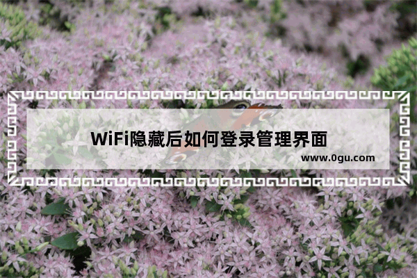 WiFi隐藏后如何登录管理界面