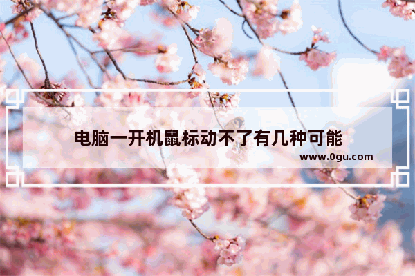 电脑一开机鼠标动不了有几种可能