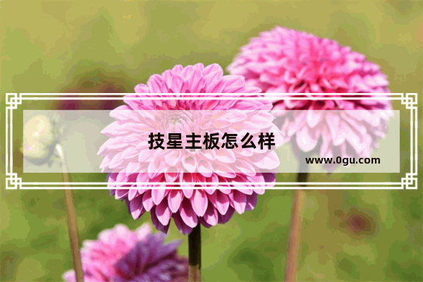 技星主板怎么样