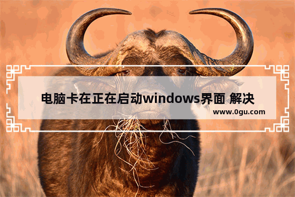 电脑卡在正在启动windows界面 解决方案