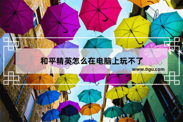 和平精英怎么在电脑上玩不了
