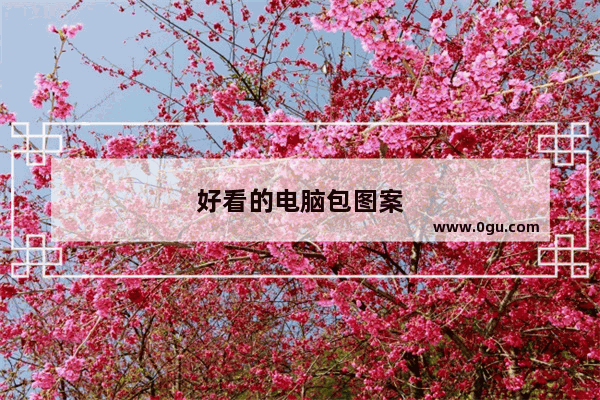 好看的电脑包图案
