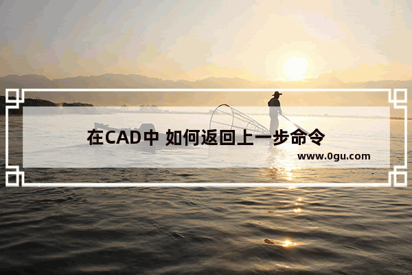 在CAD中 如何返回上一步命令