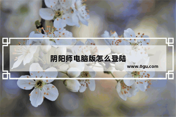 阴阳师电脑版怎么登陆