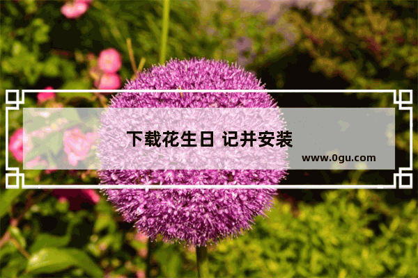 下载花生日 记并安装