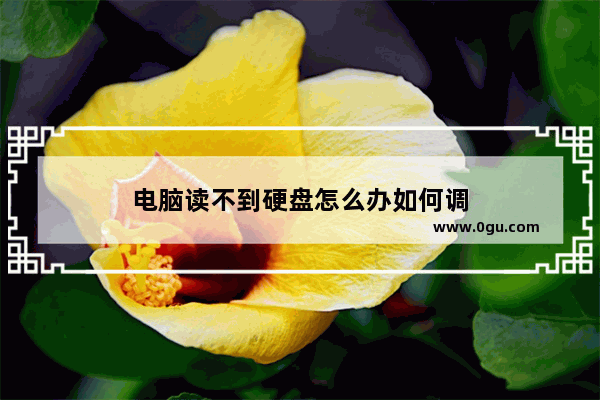 电脑读不到硬盘怎么办如何调