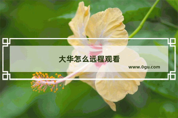 大华怎么远程观看