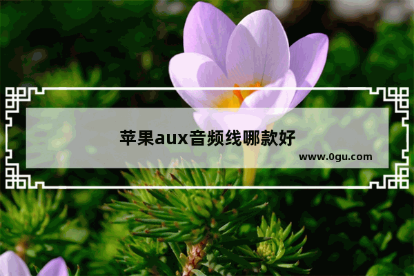 苹果aux音频线哪款好