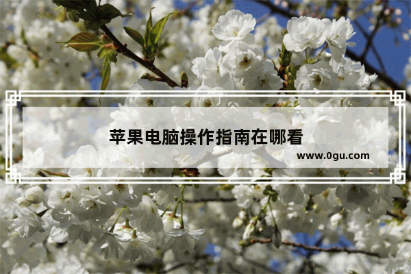 苹果电脑操作指南在哪看