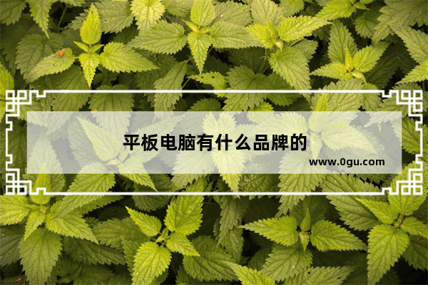 平板电脑有什么品牌的