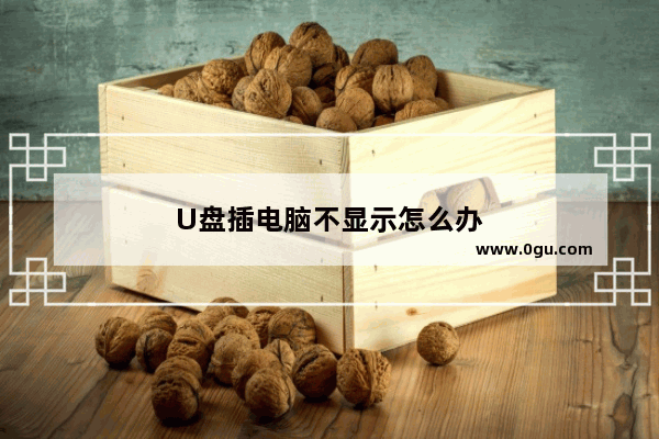 U盘插电脑不显示怎么办