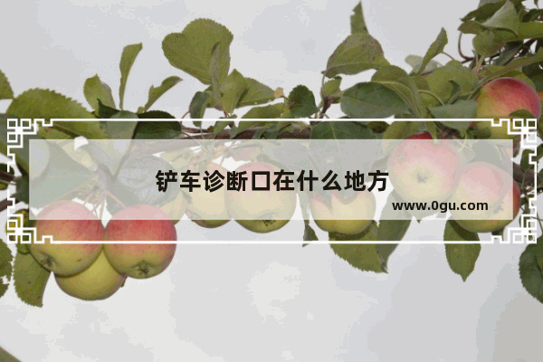 铲车诊断口在什么地方
