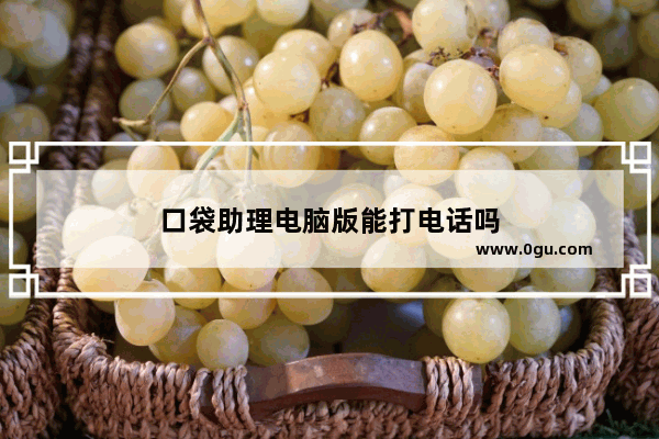 口袋助理电脑版能打电话吗