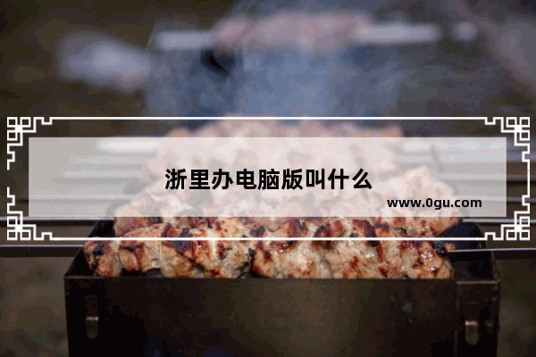 浙里办电脑版叫什么