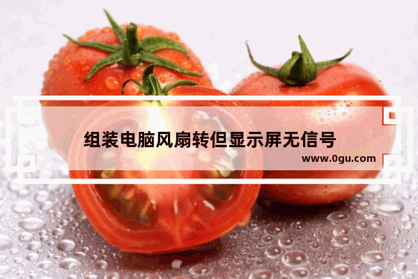 组装电脑风扇转但显示屏无信号