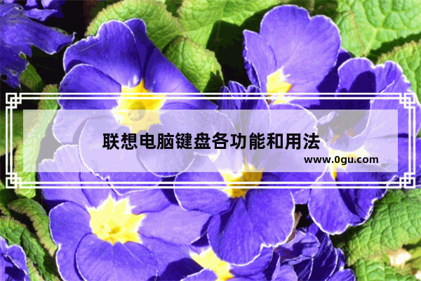 联想电脑键盘各功能和用法