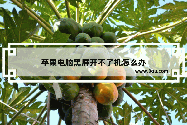 苹果电脑黑屏开不了机怎么办