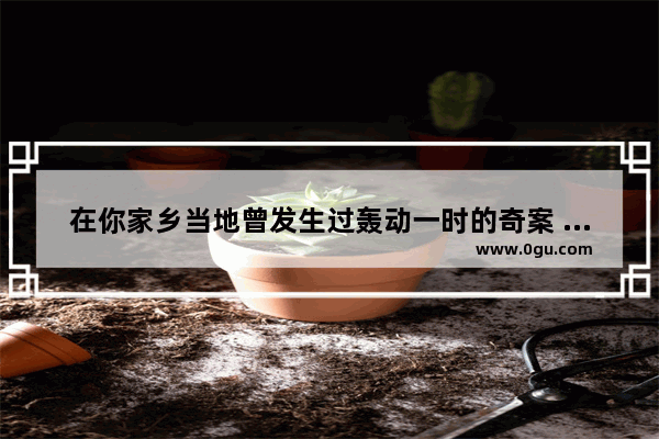 在你家乡当地曾发生过轰动一时的奇案 是悬案吗？有哪些